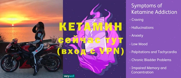 прущие грибы Верея